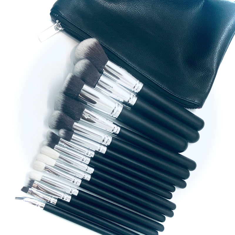 15 Piece Makeup Brushes (With Bag)