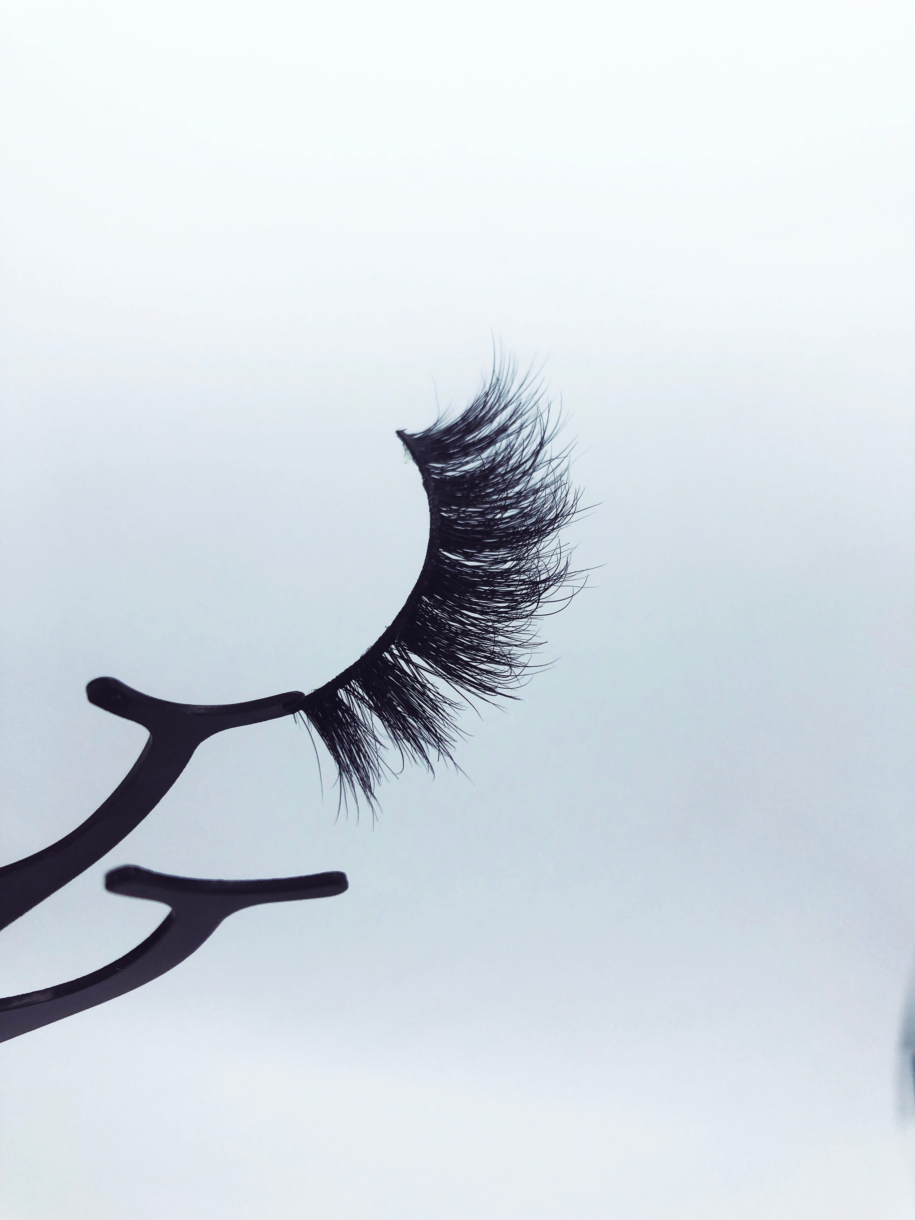 REBEL LUXURY LASHES