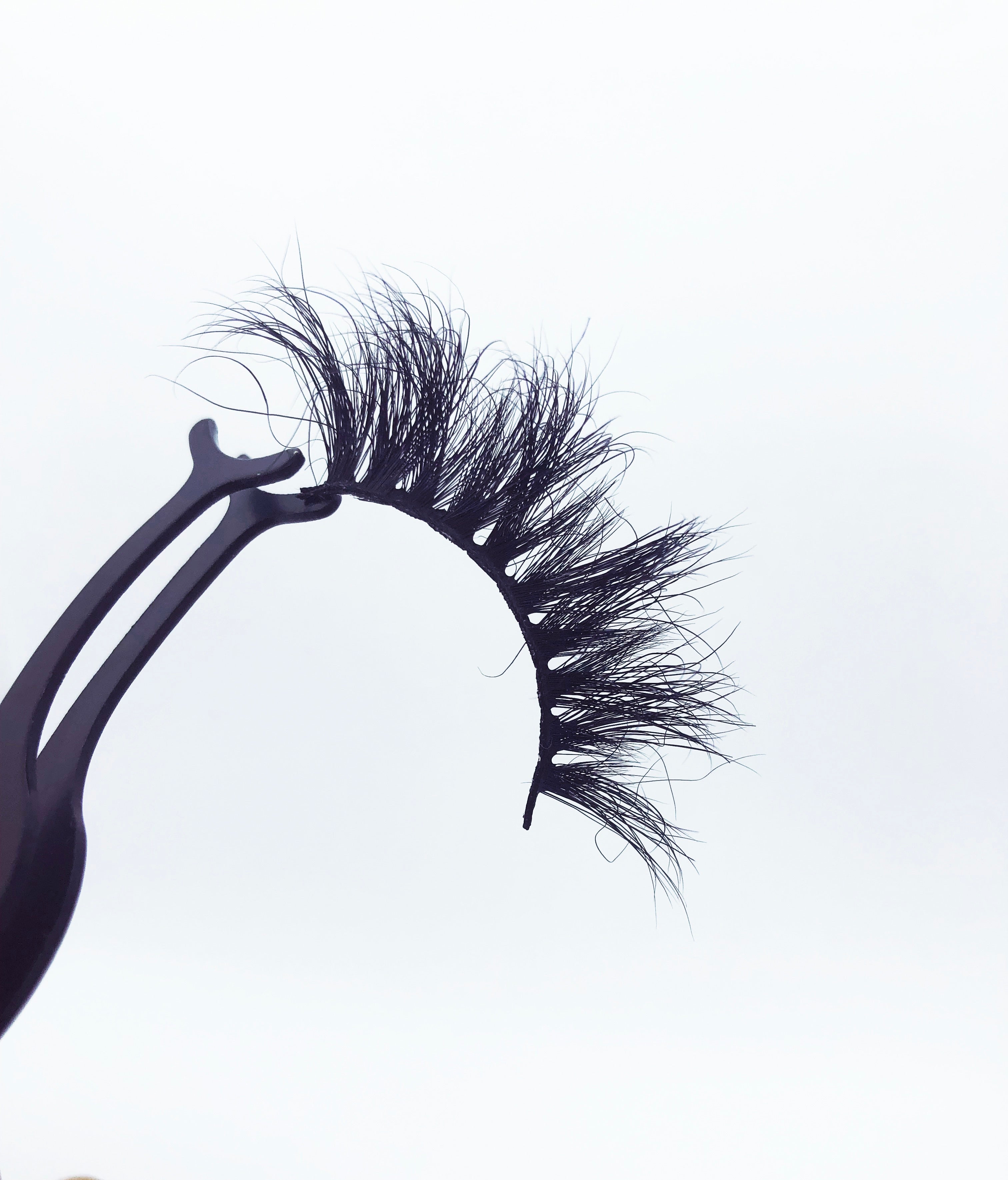 EXTRA LESSON LUXURY LASHES